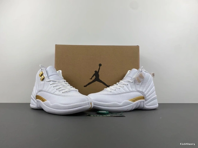 Kick Theory Air WMNS FD9101-007 Phantom Jordan 12 0814